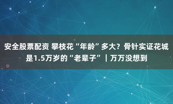 安全股票配资 攀枝花“年龄”多大？骨针实证花城是1.5万岁的“老辈子”｜万万没想到
